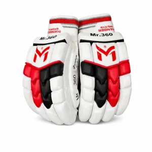 Mr 360 Edition Cricket Gloves