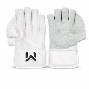 Dragon Edition Wicket Keeping Gloves