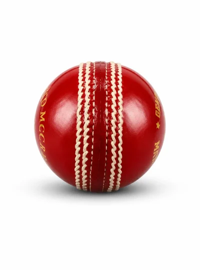Hand Stitched Manger Sports Ball